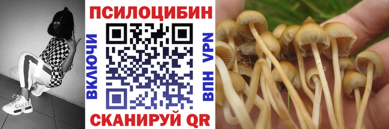 omg вход где найти Лабинск Галлюциногенные грибы Psilocybine cubensis